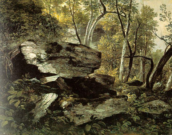 Asher Brown Durand Study from Rocks and Trees Germany oil painting art